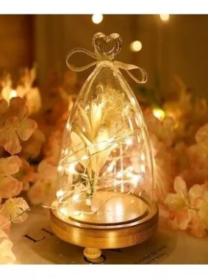 Luz alambre Usb Cálida 5 mts.