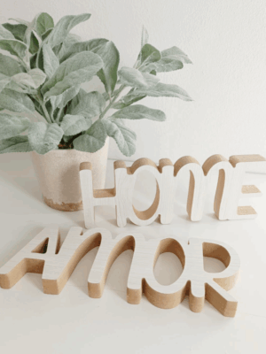 Palabra corporea "AMOR"