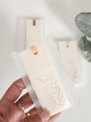 Aromatizador de placard
